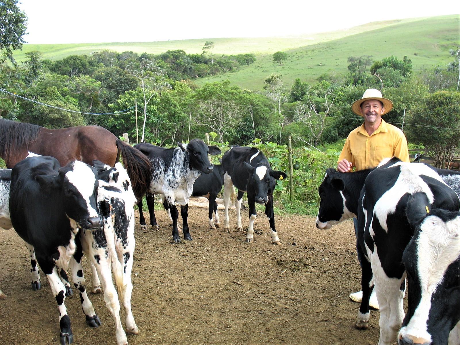 Minas Gerais Emater Mg Lan A Programa Minas Pecu Ria